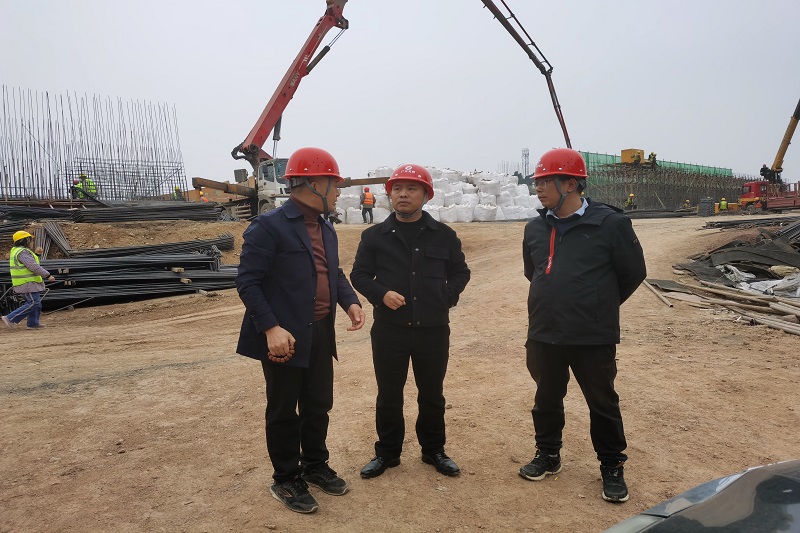 ������ ������ ���徲������ΰ���S205�´���Ŀ